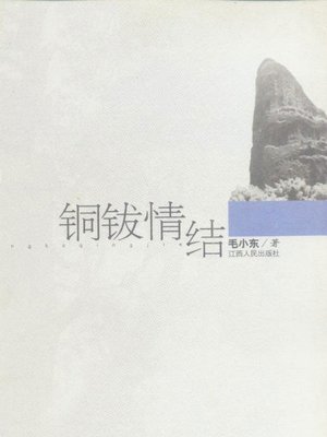 cover image of 铜钹情结